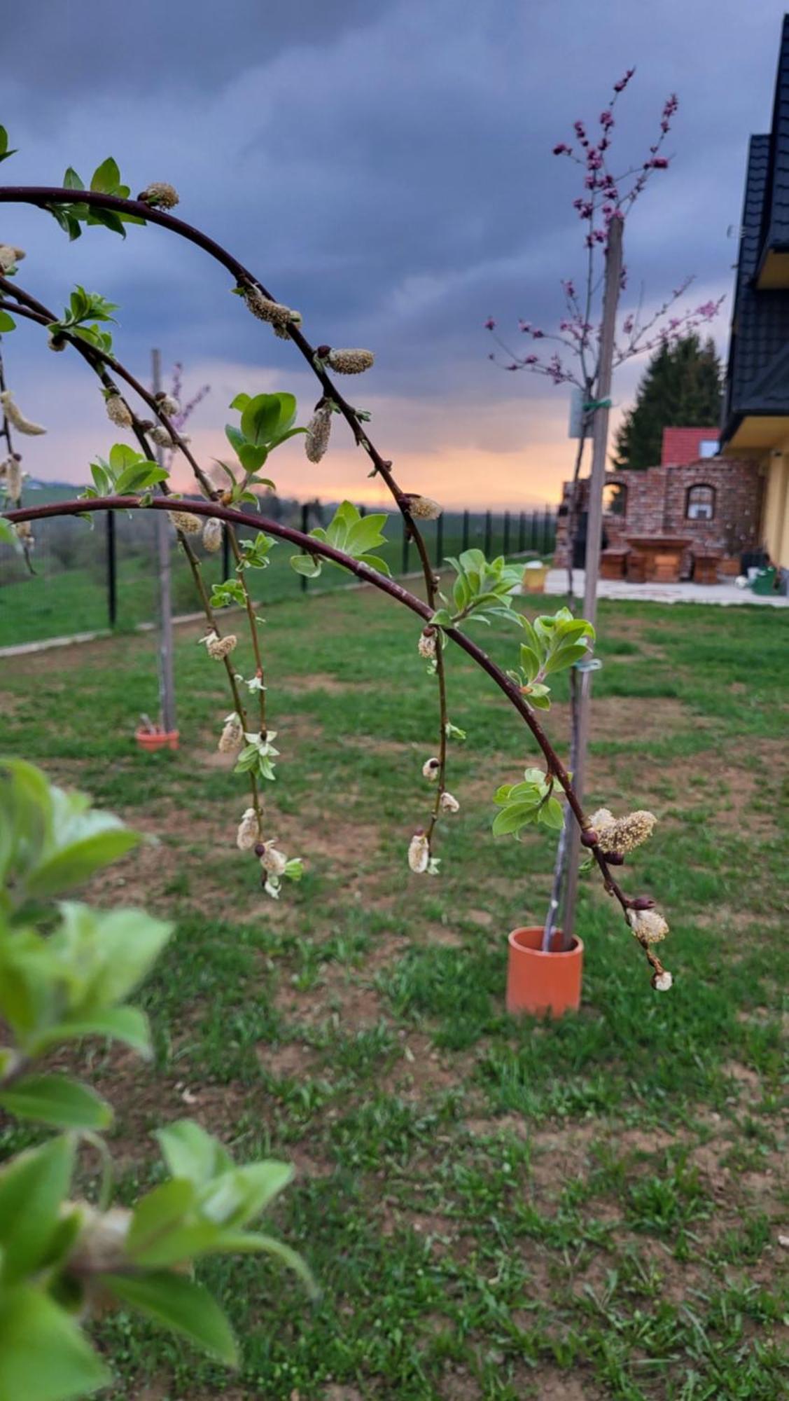 Dom Na Ubocy Appartement Groń Buitenkant foto